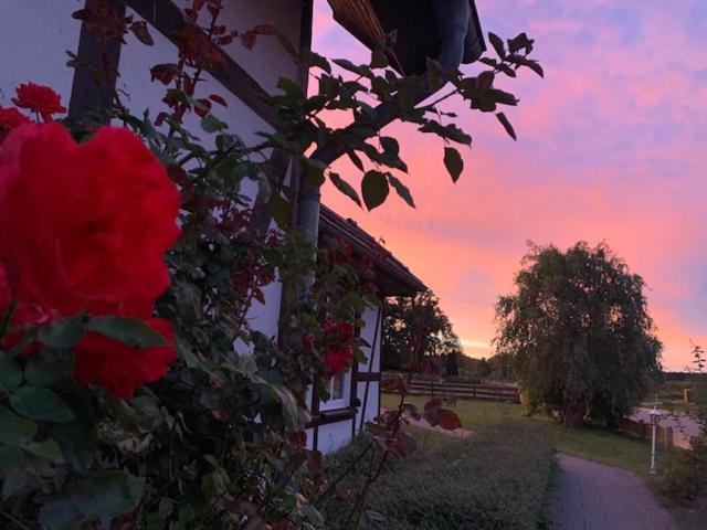 Landhotel Rosenhof Quetzin Buitenkant foto